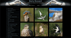 Desktop Screenshot of britishbirdphotographs.com