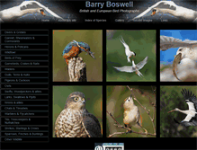 Tablet Screenshot of britishbirdphotographs.com
